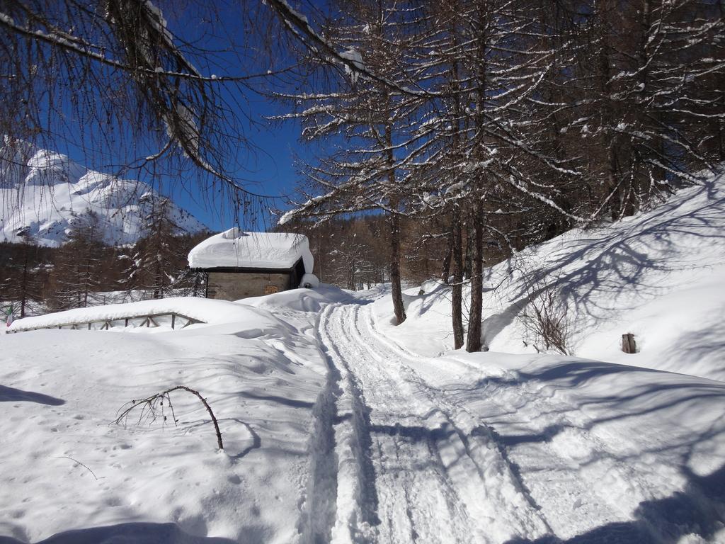 Rifugio Al Lago Del Mortirolo In Inverno Raggiungibile Solo A Piedi Monno Dış mekan fotoğraf