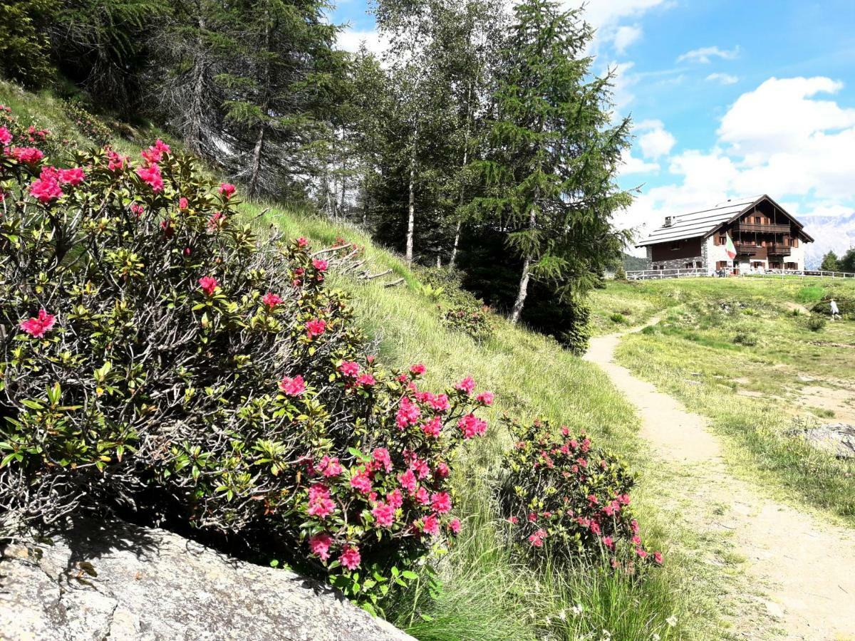 Rifugio Al Lago Del Mortirolo In Inverno Raggiungibile Solo A Piedi Monno Dış mekan fotoğraf
